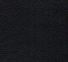 Close-up of black leather texture with visible grain.