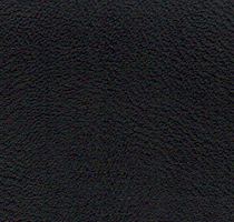 Close-up of textured black leather surface.