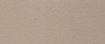 Close-up of a textured beige wall surface.
